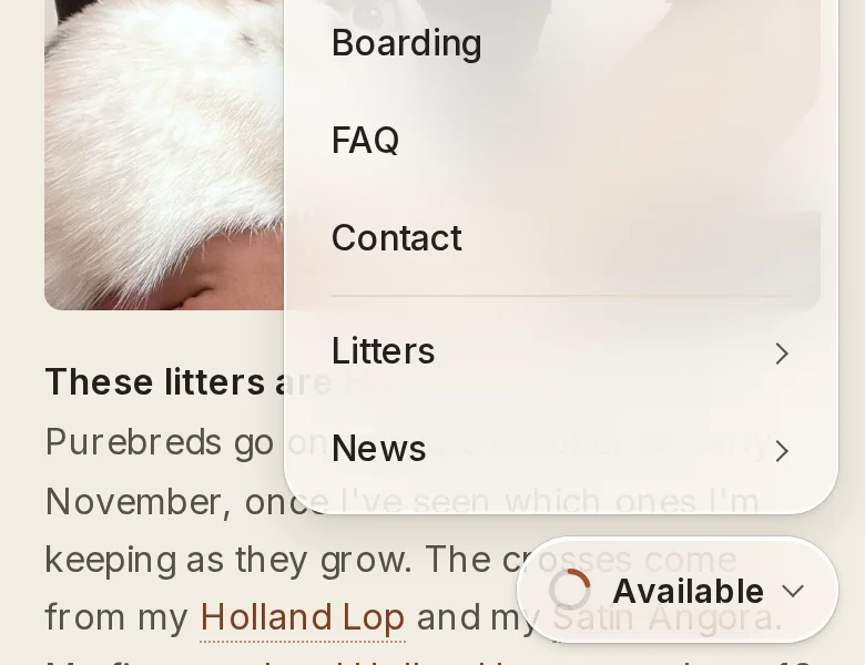 After: the same menu, with Litters and News under a line at the bottom.