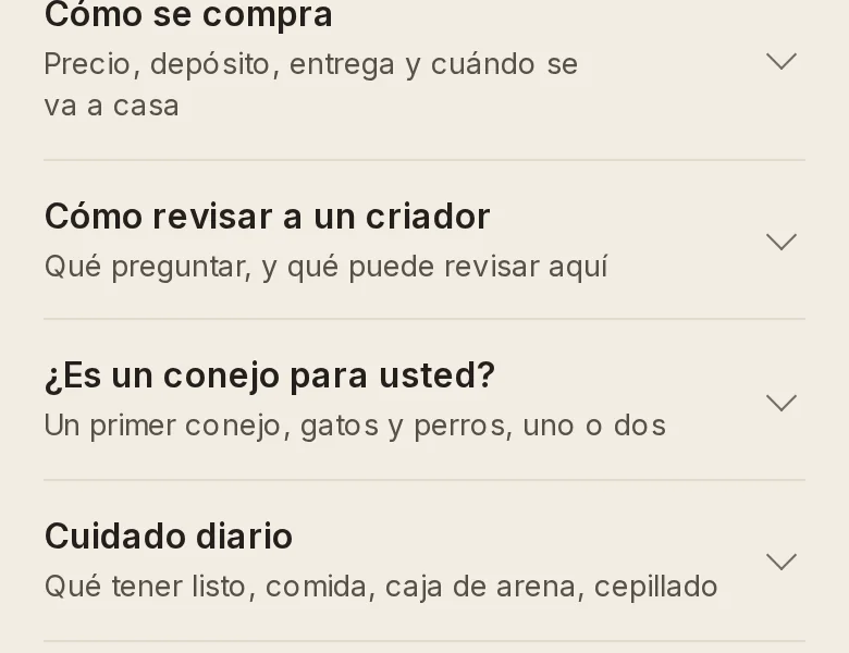 After: the five topic rows alone, the third now Es un conejo para usted.