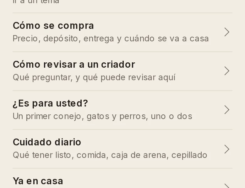Before: the Spanish FAQ's five topic rows above the questions, the third reading Es para usted.