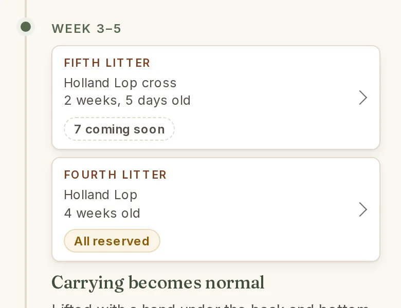 After: the same cards, the fifth saying 7 coming soon.