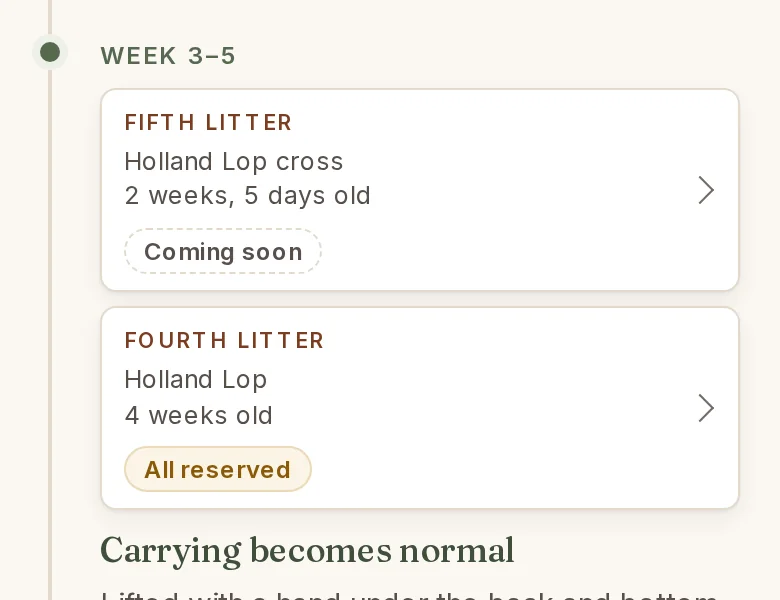 Before: the fifth and fourth litters' cards under How they're raised on a phone, the fifth saying Coming soon.