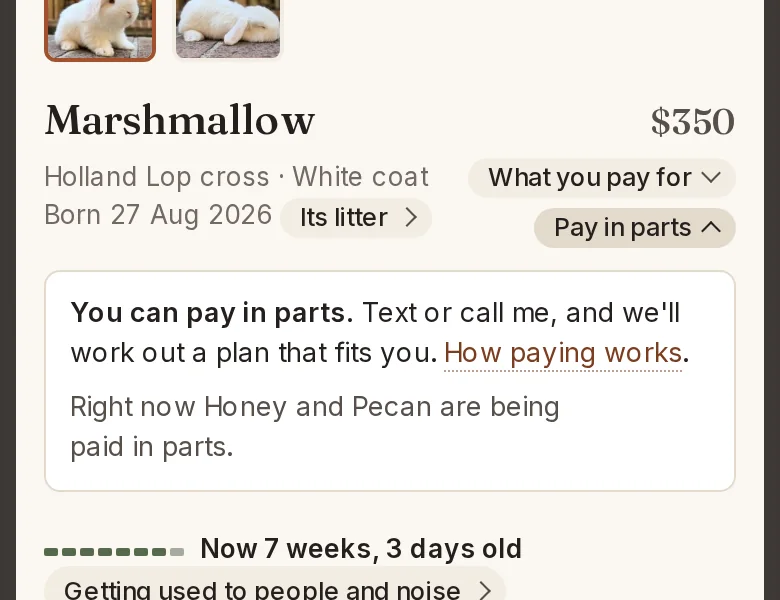 After: the same listing, with Pay in parts under What you pay for, open, saying you can pay in parts and we'll work out a plan.