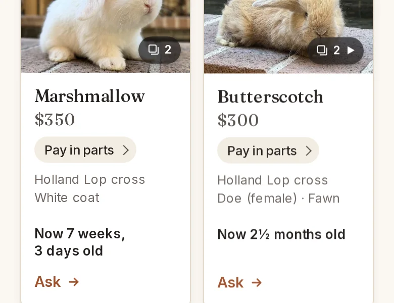 Before: Marshmallow's card on a phone, with Pay in parts under the price.